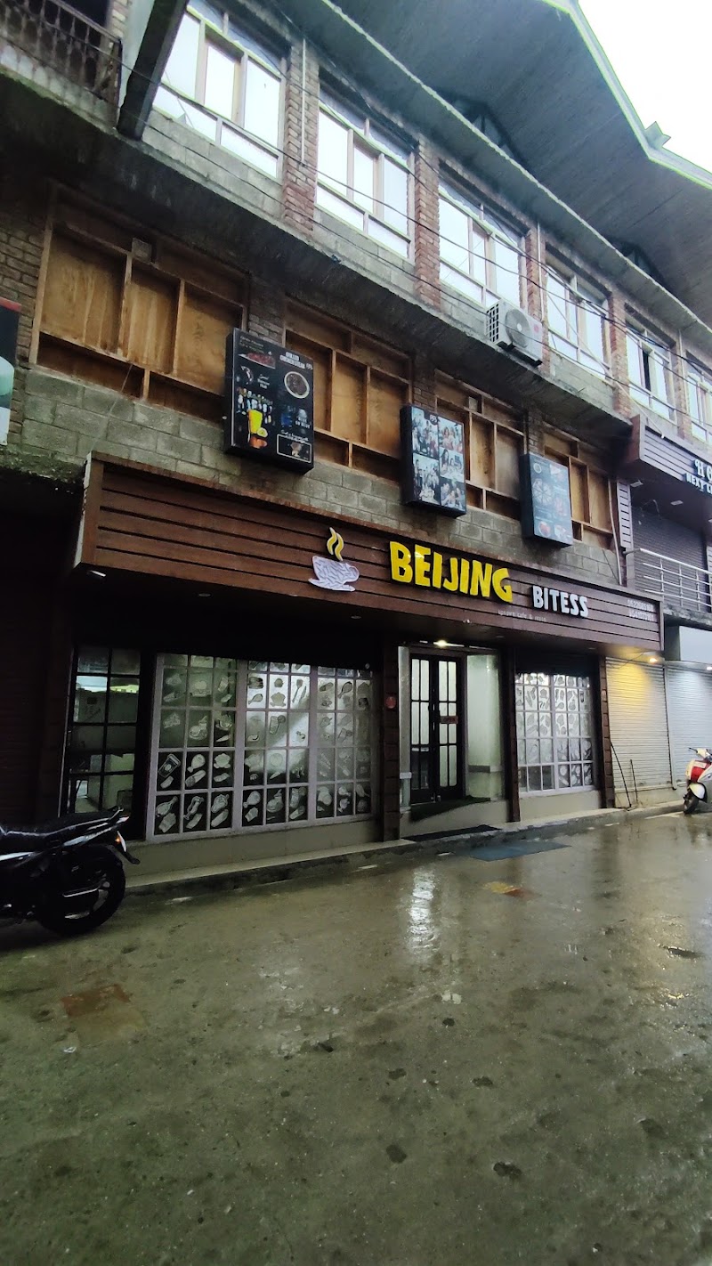 BEIJING BITESS