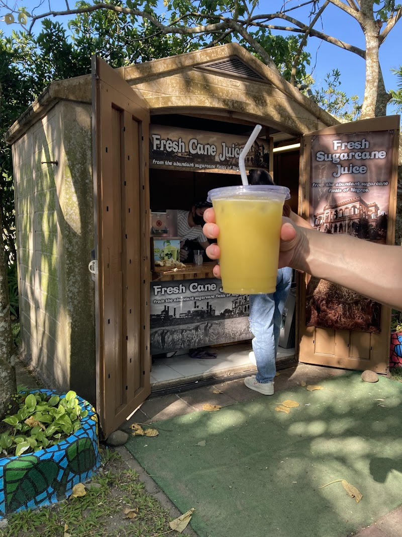 Fresh Sugarcane Juice