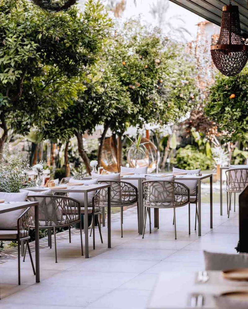 Cava Restaurant