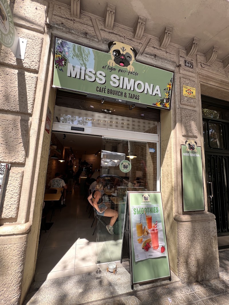 Miss Simona Calle Valencia