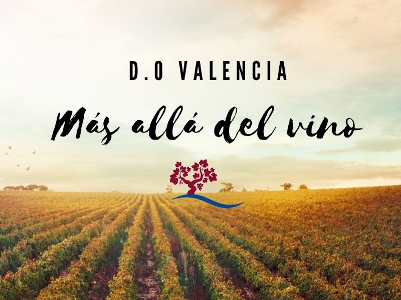 Vins de València (D.O.P.)