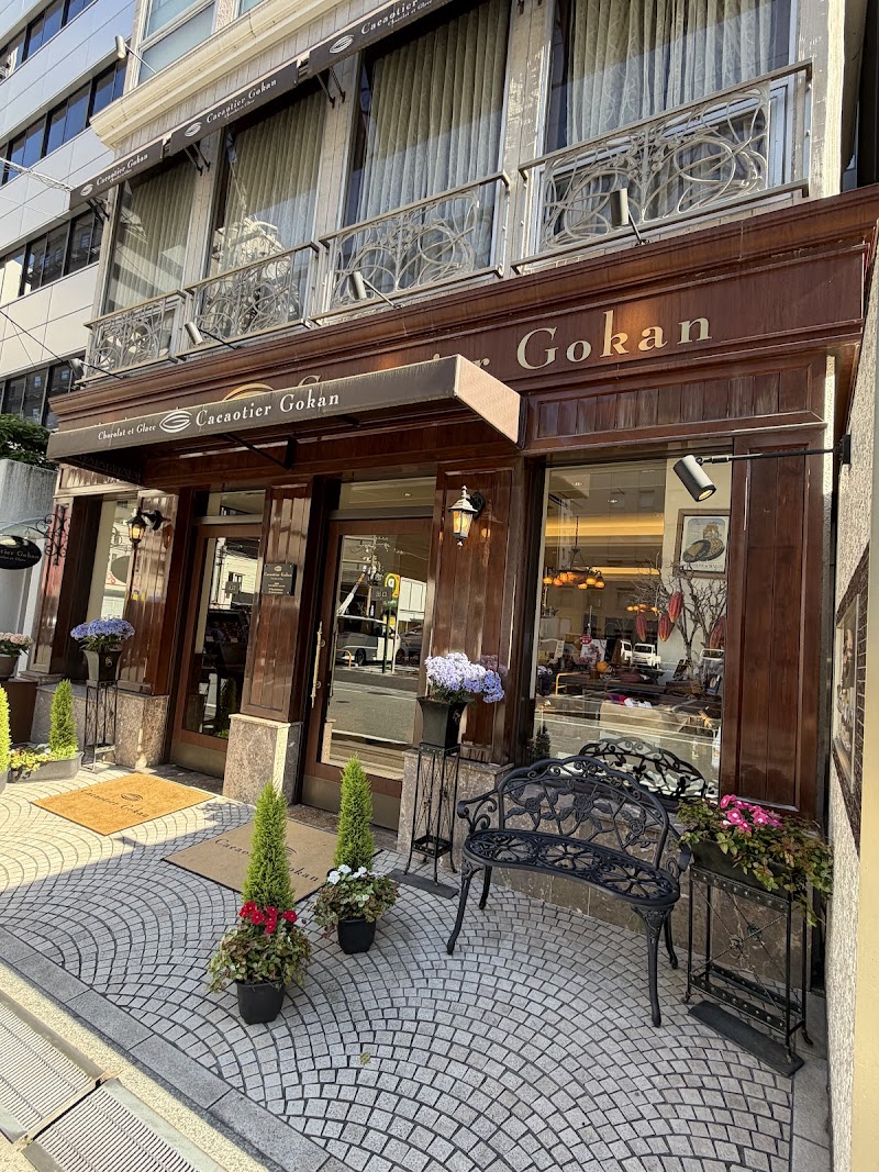 Cacaotier Gokan