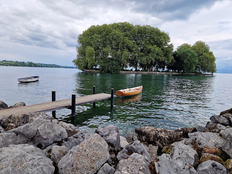 Terrasse du lac
