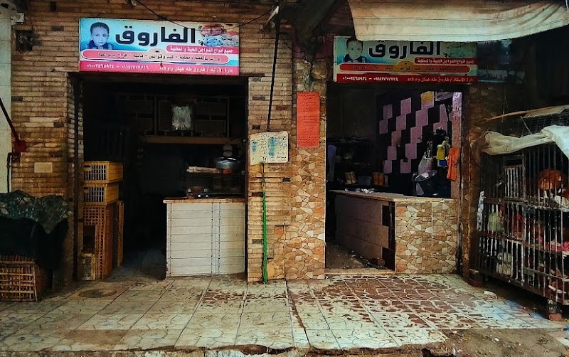 الفاروق للدواجن