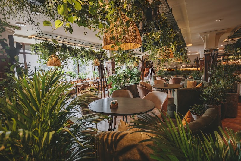 Cafe-bar "Lesnoy"